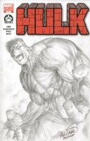 Hulk Hero Initiative by Carlo Pagulayan Comic Art